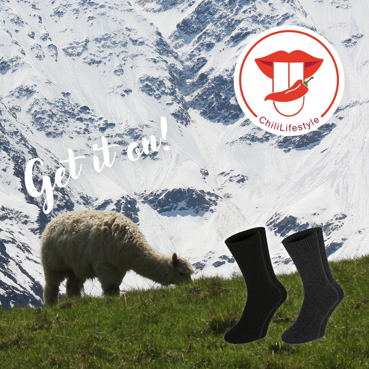 Chili Lifestyle Wollsocken ALPAKA 2 Paar super warm Weichbund Winter